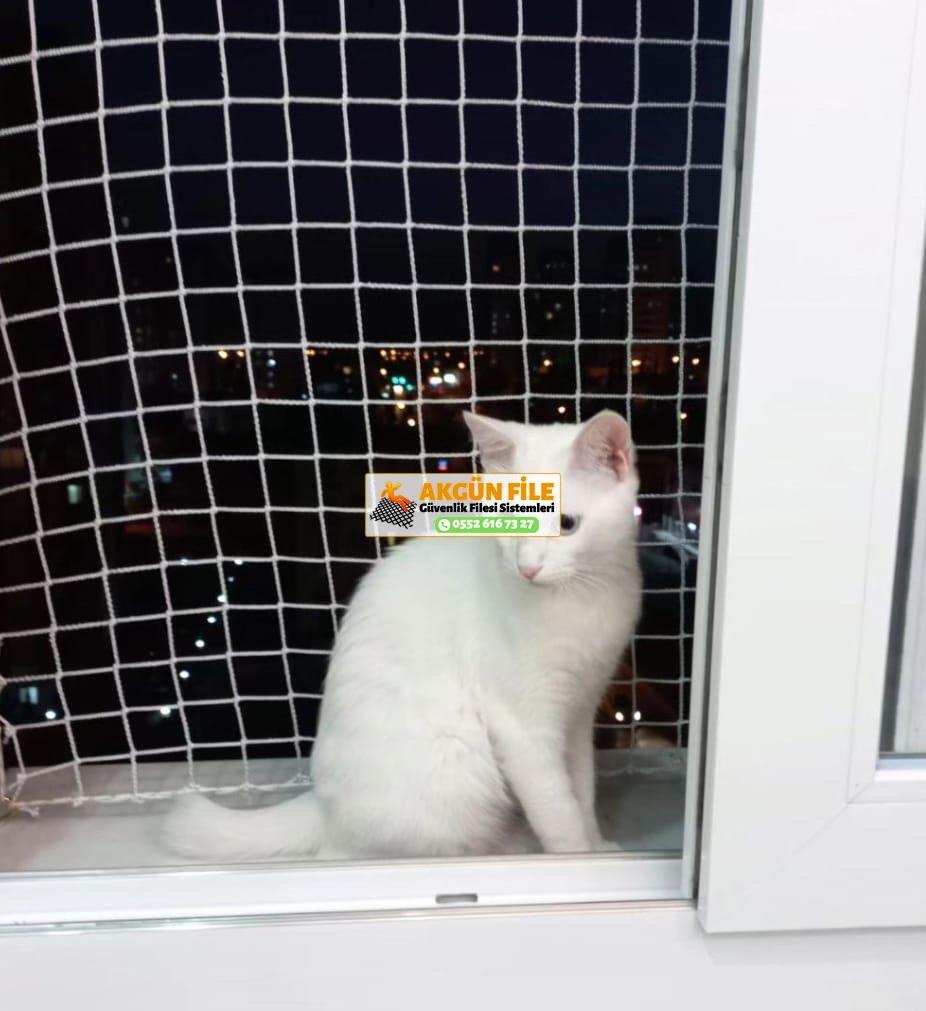   Kedi Filesi, Kedi Güvenlik Filesi 0552 616 73 27