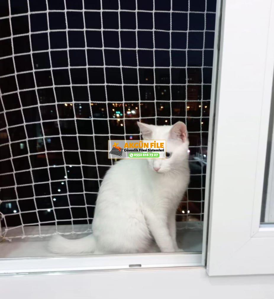 Evcil hayvan filesi Çocuk Filesi Kedi Filesi Balkon Filesi